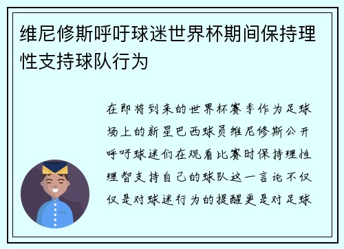 维尼修斯呼吁球迷世界杯期间保持理性支持球队行为